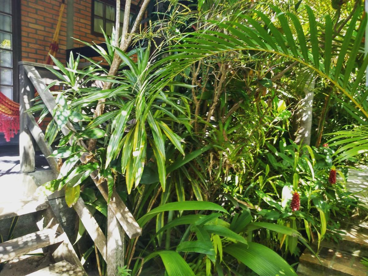 Morada Crisalida Hotell Praia do Rosa Eksteriør bilde