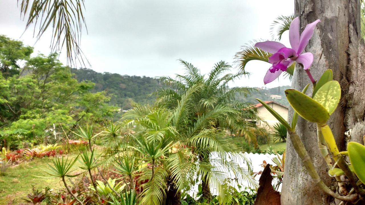 Morada Crisalida Hotell Praia do Rosa Eksteriør bilde
