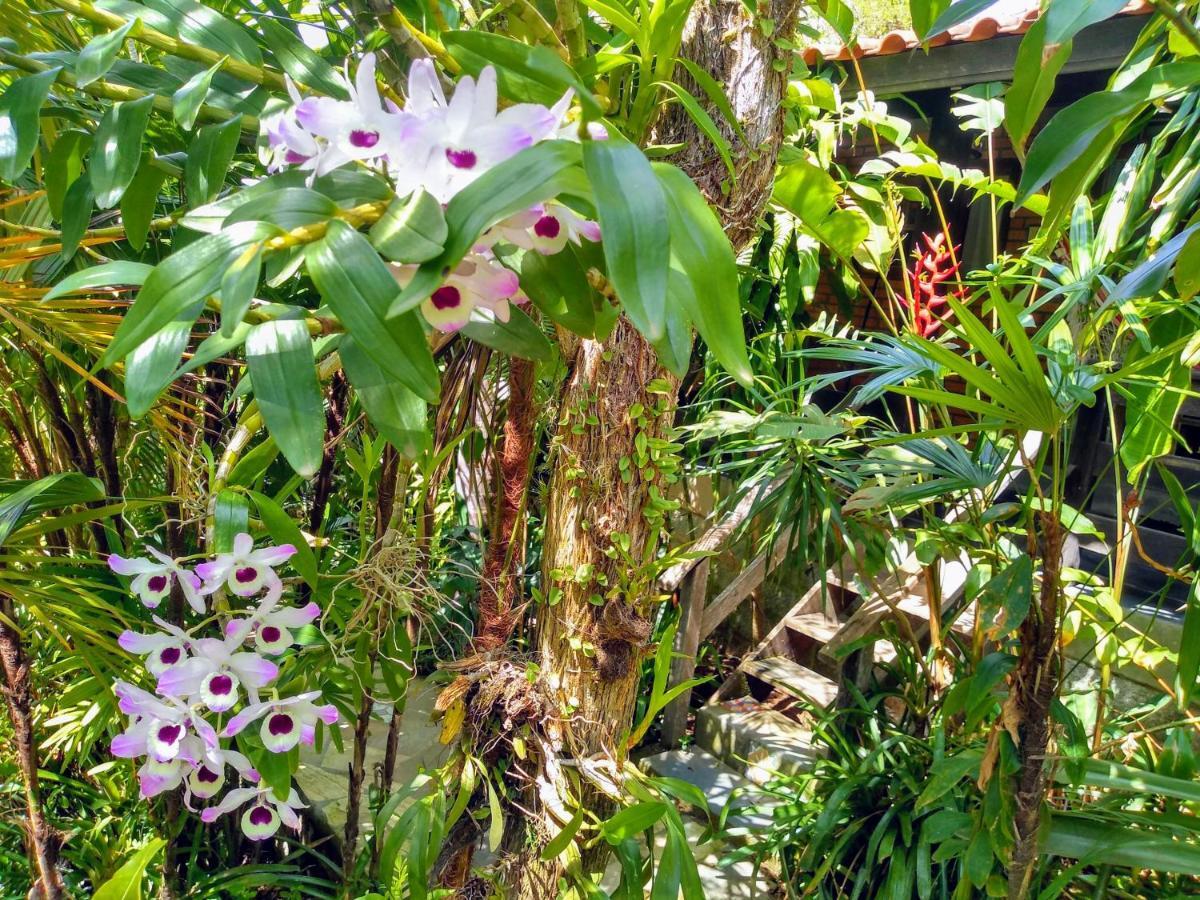 Morada Crisalida Hotell Praia do Rosa Eksteriør bilde