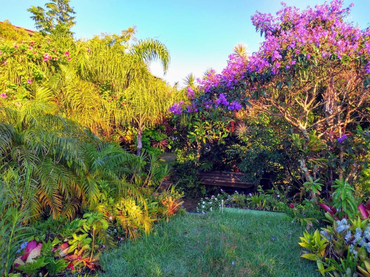 Morada Crisalida Hotell Praia do Rosa Eksteriør bilde